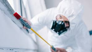 Best Residential Pest Control  in Bent Creek, NC